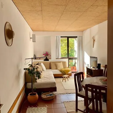Janelas Do Rio Vouga * São Pedro do Sul