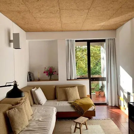 Janelas Do Rio Vouga Daire