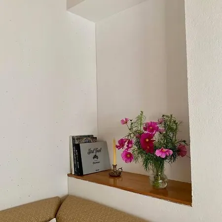 Daire Janelas Do Rio Vouga *
