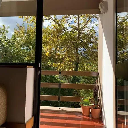 Janelas Do Rio Vouga Daire